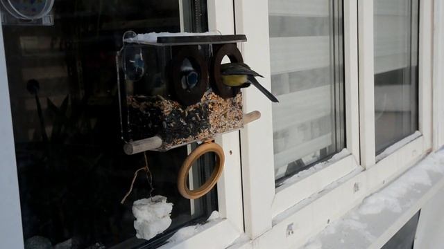 Жизнь Арт Кормушечная) смотреть онлайн