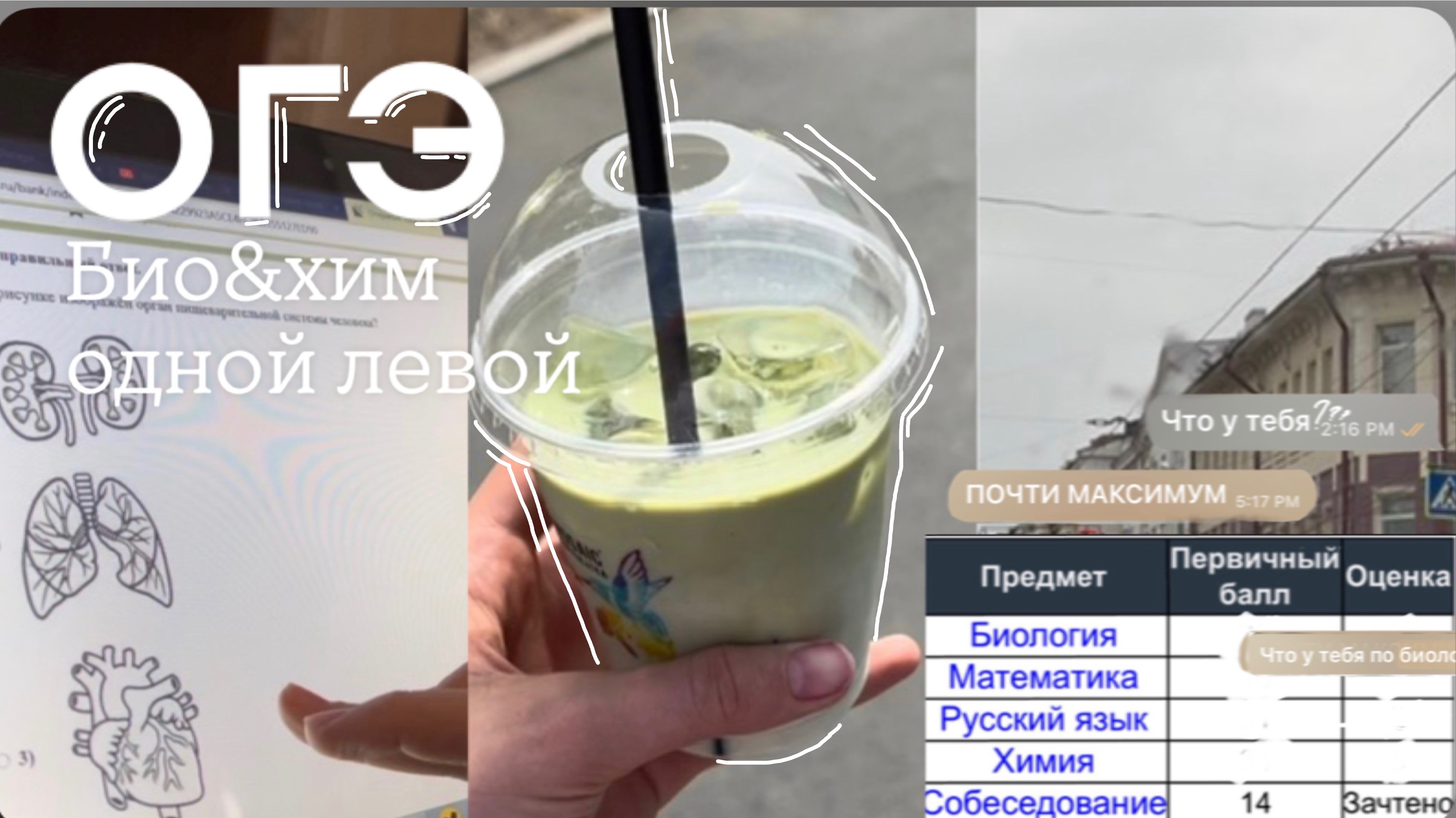 СДАЮ ОГЭ 2024/ *очень веселые деньки* | Sofi Engeleva смотреть онлайн