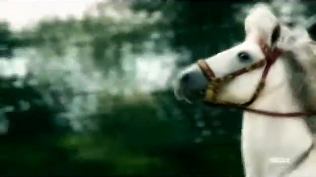 Аника Далински - Ты моё все MAX IRONS The White Queen Edward and Elizabeth смотреть онлайн