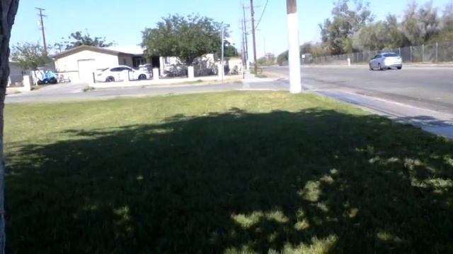 Metal Detecting- A Frog and a Few Nickels смотреть онлайн