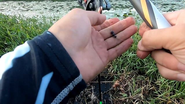 ЛОВЛЯ КАРАСЯ НА ПОПЛАВОЧНУЮ УДОЧКУ!РЫБАЛКА НА КАРАСЯ 2022 смотреть онлайн