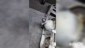 Volkswagen тюнинг света  в T5 t5.1 T6 Multivan Caravelle Pan Americana