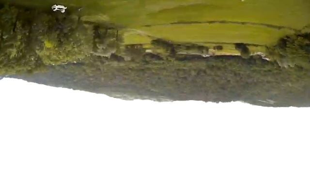 Vortex tuning session смотреть онлайн