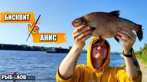 Бисквит или анис? Как не остаться без улова если лещ не клюет. Рыбалка на сильном течении