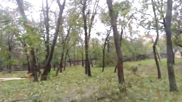 Ейск.24.09.2014 смотреть онлайн