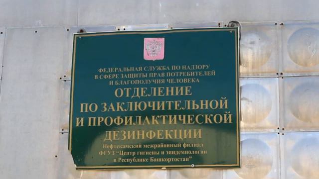 Нефтекамск атакуют комары. Как спасаться? Когда пойдет спад их активности? смотреть онлайн