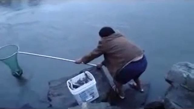 Аляска Hooligan(Корюшка ),огурцом пахнет. смотреть онлайн