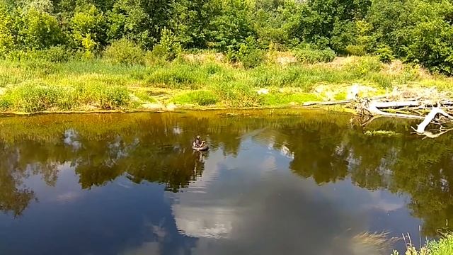 Нахлыст с автомобильной камеры смотреть онлайн