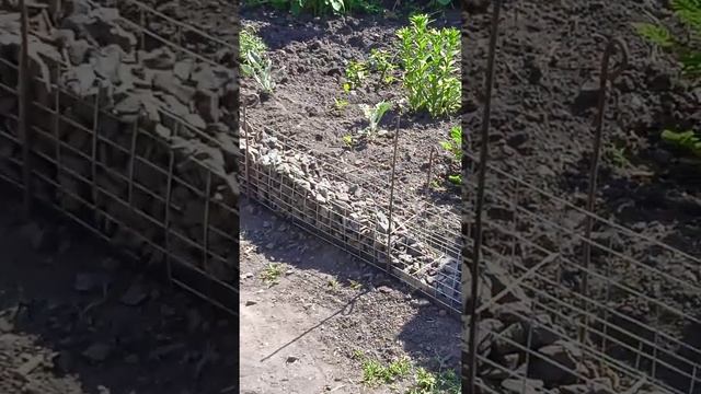 Бордюрный габион для клумбу. смотреть онлайн