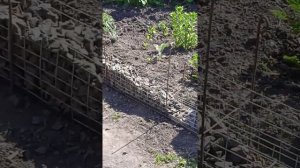 Бордюрный габион для клумбу.