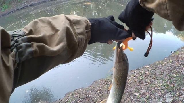 Ловля Щуки на малой реке осенью (ловля щуки на спиннинг) смотреть онлайн