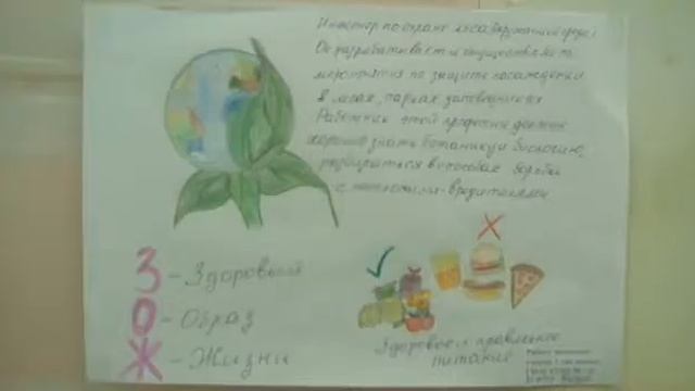 ЗОЖ смотреть онлайн