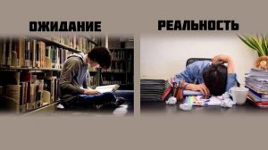 Фенотропил