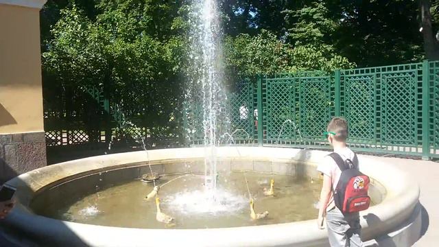 Петром. Фонтан собака догоняет уток. Единственный фонтан который работает за счет механизмов смотреть онлайн