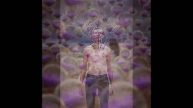 Мечты о снах, или образы, рожденные бессонницей смотреть онлайн