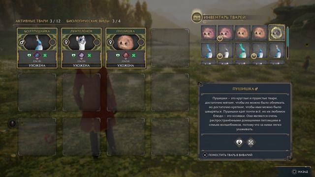 МАМ МОЯ у нас свой контактный зоопарк►►► Hogwarts Legacy с MarshalCGF смотреть онлайн