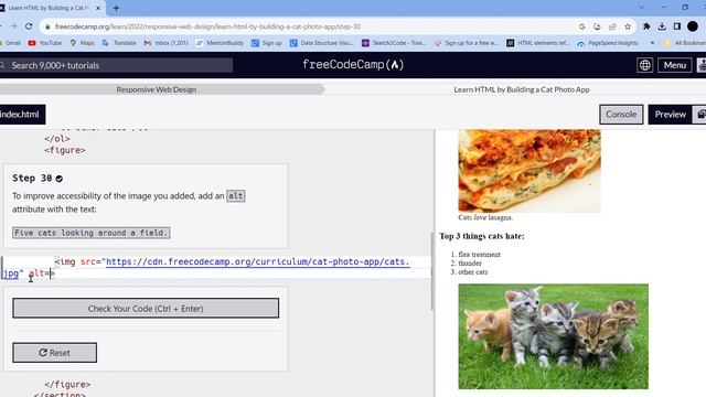 Learn HTML by Building a Cat Photo App Step - 30 || freeCodeCamp смотреть онлайн