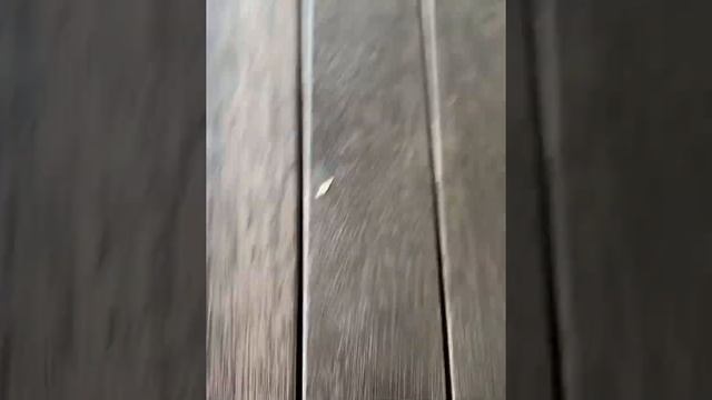 Install LinQ Seadoo Spark 2020