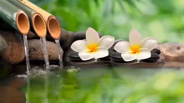 Быстрый сон и сон крепче снотворного со звуком тропического бамбукового фонтана смотреть онлайн