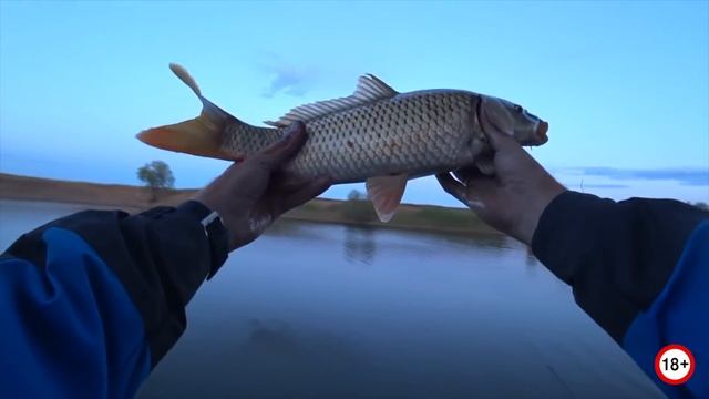 Ловля карася на флэт фидер смотреть онлайн