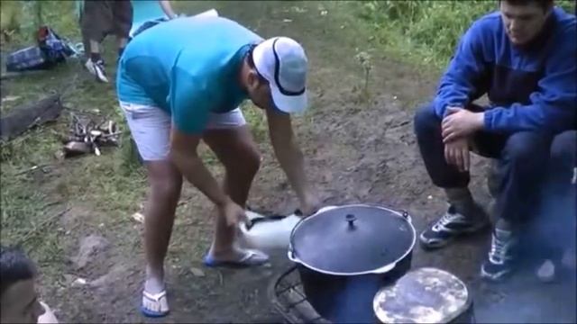 Сплав по реке Белая и Пшеха