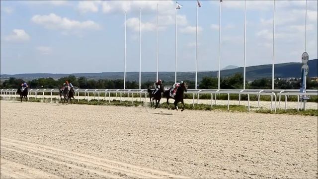 5 Скачка Пятигорский ипподром 09.07.2017 смотреть онлайн