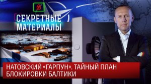 НАТОвский «Гарпун». Тайный план блокировки Балтики