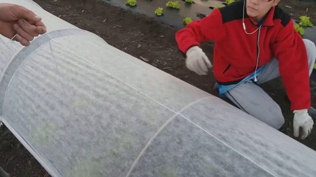 Поставяне на агрил върху тунел смотреть онлайн