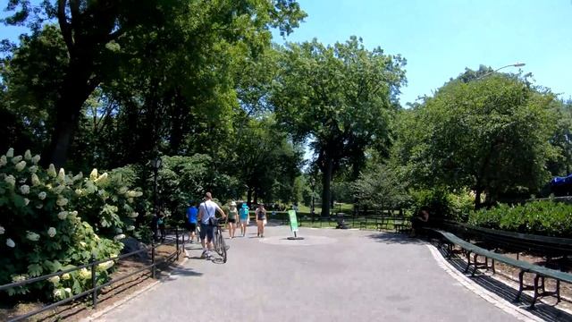 ⁴ᴷ Walking Tour Of Central Park, NYC During Summer From 59th - 110th Streets