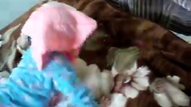 играем в жмурки