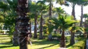 Турция, Мармарис. PGS Hotels Fortezza Beach Resort 5*. Территория, море