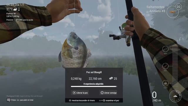 El mundo de la Pesca | BAGRE de 576g | El rincon del gamer смотреть онлайн
