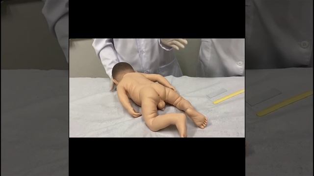 Método de Graham смотреть онлайн