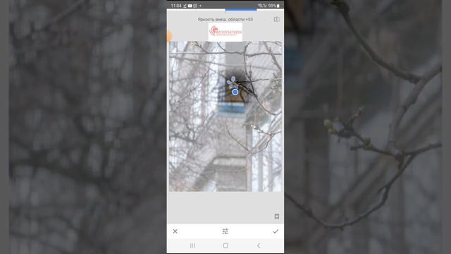 Виньетка в фотографии