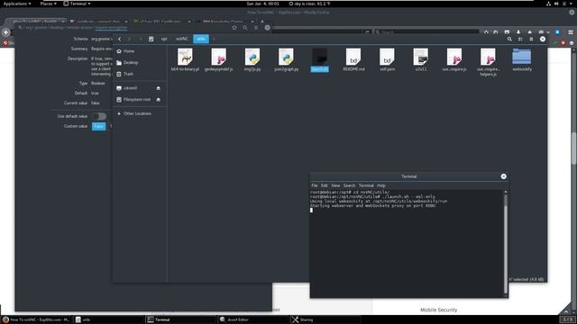 How to Share your Linux Screen over any URL смотреть онлайн