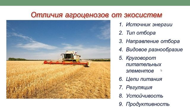 АГРОЭКОСИСТЕМЫ. В чем их отличие от природных экосистем? смотреть онлайн