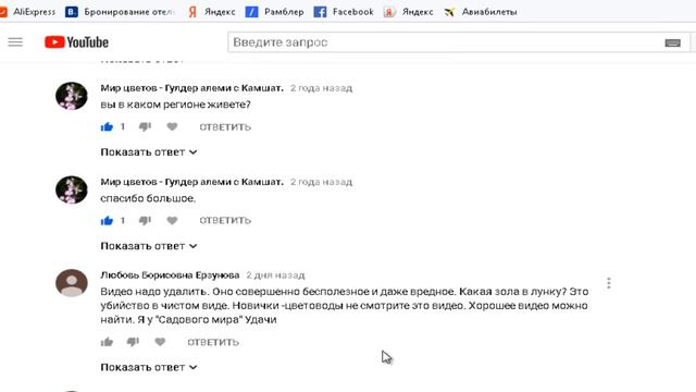 Гортензия. Ответ на полемику по поводу моего фильма про посадку гортензии. смотреть онлайн