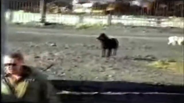 Певек. На катере по Чаунской Губе..... смотреть онлайн