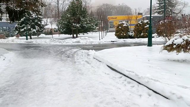 Kharkiv Харьков сегодня Сад Шевченко ❄️ 11.02.2024 ❄️❄️ смотреть онлайн