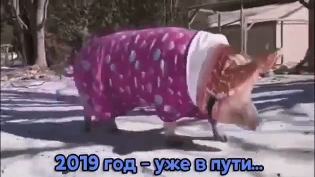 2019 год — уже в пути??? смотреть онлайн