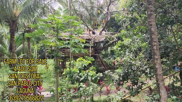 SOLD!LOT FOR SALE/4,400 SQM/SAN CRISTOBAL,SAN PABLO CITY,LAGUNA/650 PER SQM/TAX DEC/+639279566822