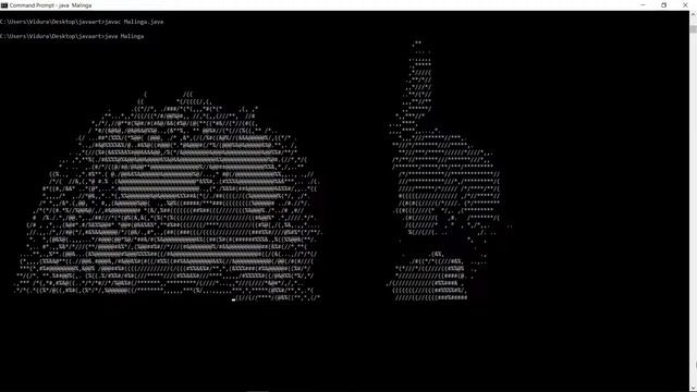 The best bowler in Cricket - Lasith Malinga - animated wonderful art | cmd | Java programming смотреть онлайн