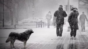 МОЯ СЛЕПОТА