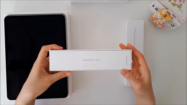 iPad Pro 11” 2020 Silver (2nd Generation) & Apple Pencil (2nd Generation) Unboxing смотреть онлайн