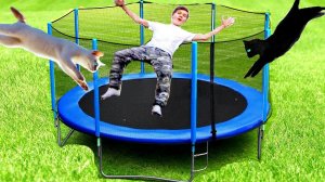 КТО ПОСЛЕДНИЙ ПОКИНЕТ БАТУТ, ПОЛУЧИТ ПРИЗ ОТ КОШЕК! КОШКИ ПОДРАЛИСЬ, А ПРОИГРАВШЕГО ЖДЁТ НАКАЗАНИЕ!