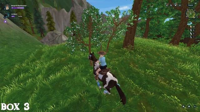*QUICK & EASY* ALL RENEGADE CHEST LOCATIONS & HOW TO GET THEM (STAR STABLE TUTORIAL) ? смотреть онлайн