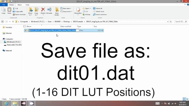 FSI DIT LUT creation with Lightspace CMS смотреть онлайн