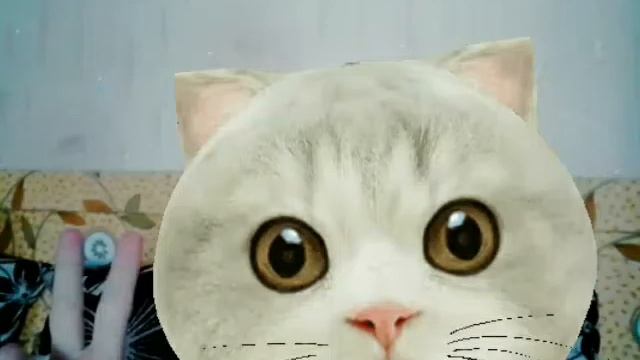 Мой фото! смотреть онлайн