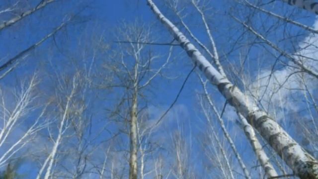 Добровский заказник работа студентов ЛТСиД Липецк смотреть онлайн