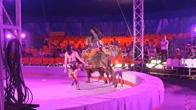 13 августа 2023 г. Ростовский цирк в Мариуполе! 👍 смотреть онлайн